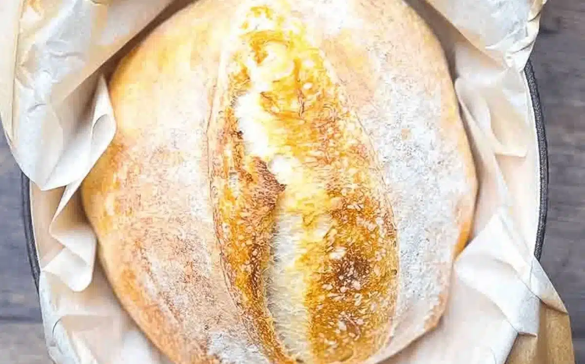 Best Ever Sourdough Bread 4 Best Ever Sourdough Bread