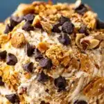 peanut butter chocolate cheese ball 2026 05 17 223330 1